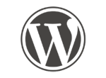 Wordpress Development Company